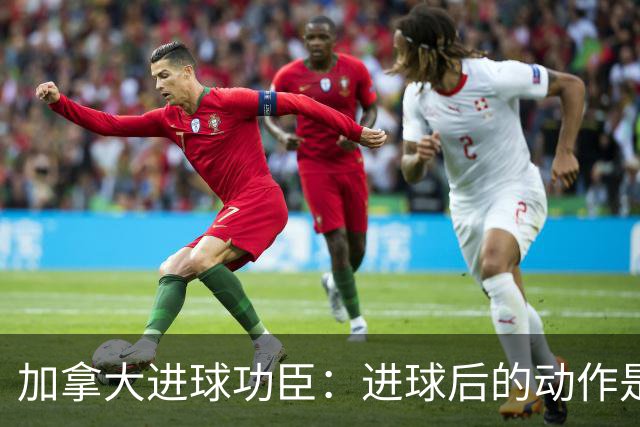 加拿大进球功臣：进球后的动作是给质疑我的媒体，他们可以闭嘴了